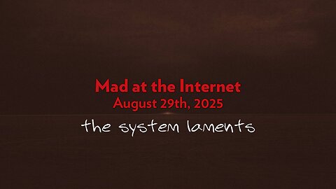 The System Laments (August 29th, 2025) - Mad at the Internet