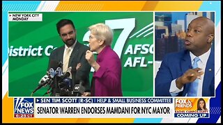 Sen Tim Scott: Dems Learned Nothing From 2024 Beatdown