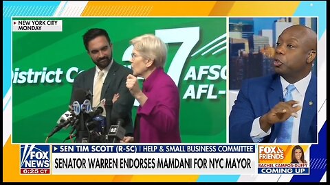 Sen Tim Scott: Dems Learned Nothing From 2024 Beatdown