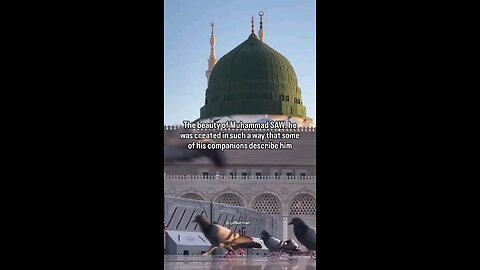 We need to search for the righ path.Islam is the right way #islamic #islam #quran #muslims #القران