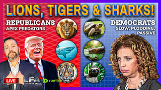 APEX PREDATORS! | LIVE FROM AMERICA 5.28.25 11AM