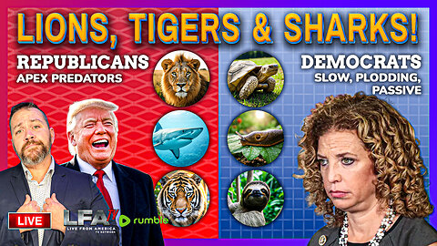 APEX PREDATORS! | LIVE FROM AMERICA 5.28.25 11AM