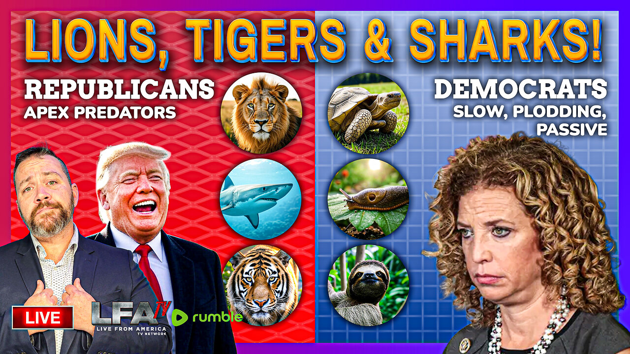 APEX PREDATORS! | LIVE FROM AMERICA 5.28.25 11AM