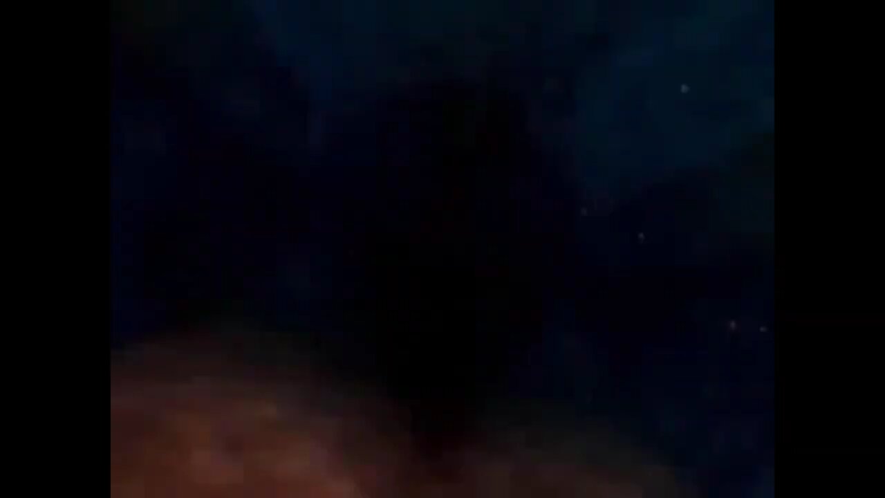 Finding Nemo Inside the Whale