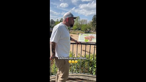 Zoo & Elephants