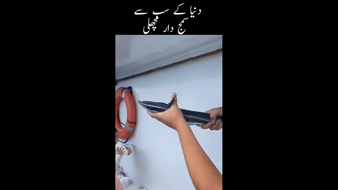 Sucker Fish