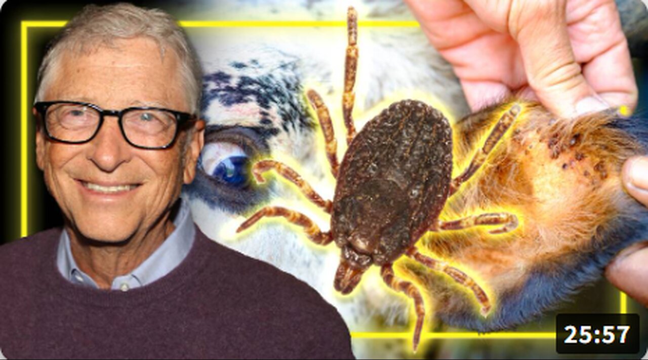 BREAKING: US Scientists- Funded By Bill Gates- Study Releasing Ticks Engineered To Deliver A “Vaccine” That Gives Humans A Violent Allergy To Eating Beef!
