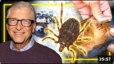 BREAKING: US Scientists- Funded By Bill Gates- Study Releasing Ticks Engineered To Deliver A “Vaccine” That Gives Humans A Violent Allergy To Eating Beef!