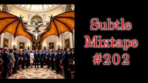 Subtle Mixtape 202 | A Heyoka Hieroglyphs Production