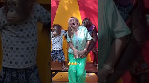 Funny Animals #funnyanimals #animals #pets #shorts #funny