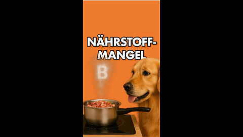😱 Nährstoffmangel bei Hunden!