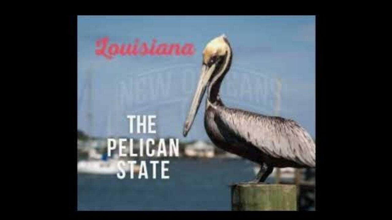 PELICAN STATE TO THE BAY CONNECTION