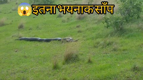 Bahar me mila ek bhayanak saap 😱 | Dangerous Snake Found in Village |