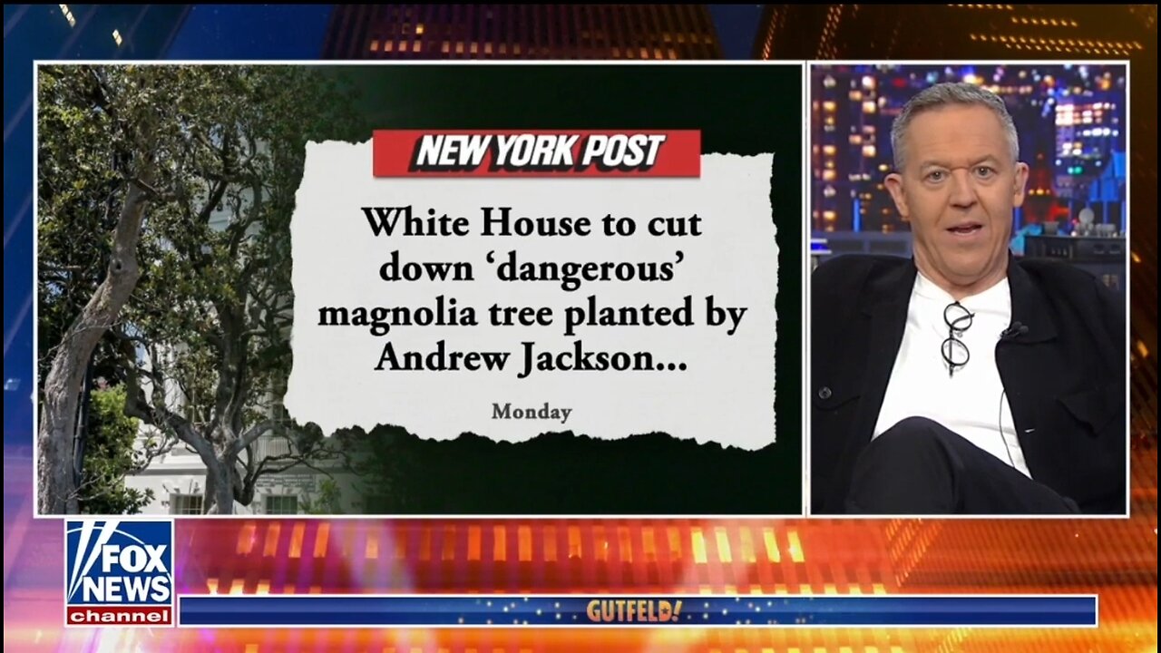 Gutfeld's Jokes