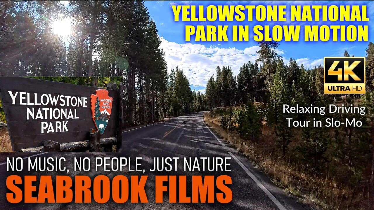 Yellowstone National Park in Slow Motion: Relaxing Driving Tour in Slo-Mo