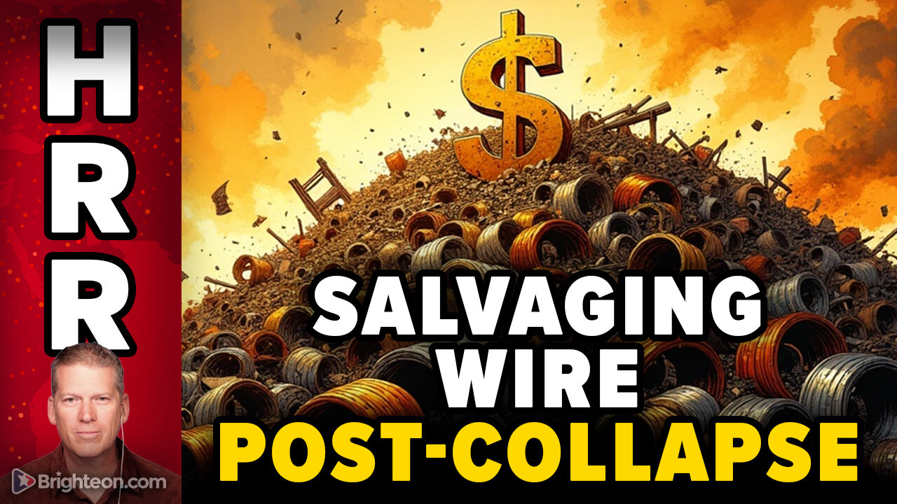 Job Security: Salvaging Wiring and Metals from Commercial Buildings