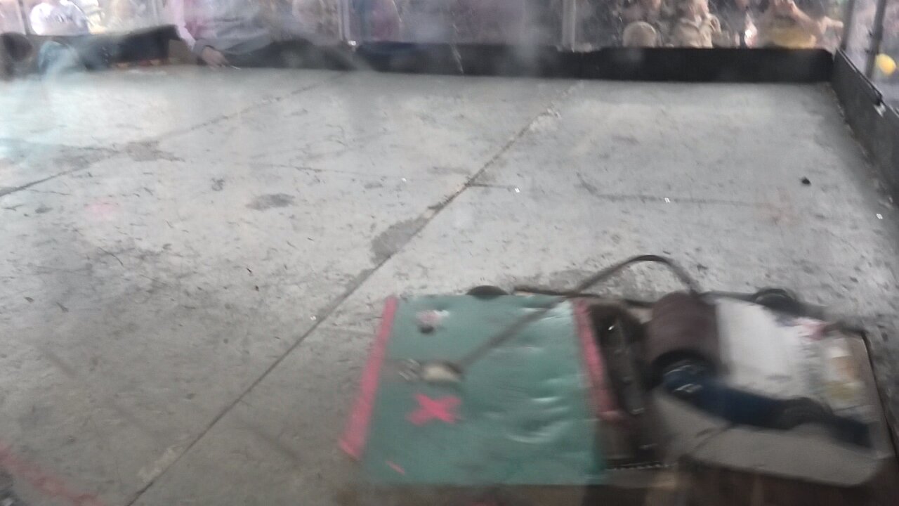 BBB Northdown Havoc 2025: Sandy Cheeks Vs Lumber