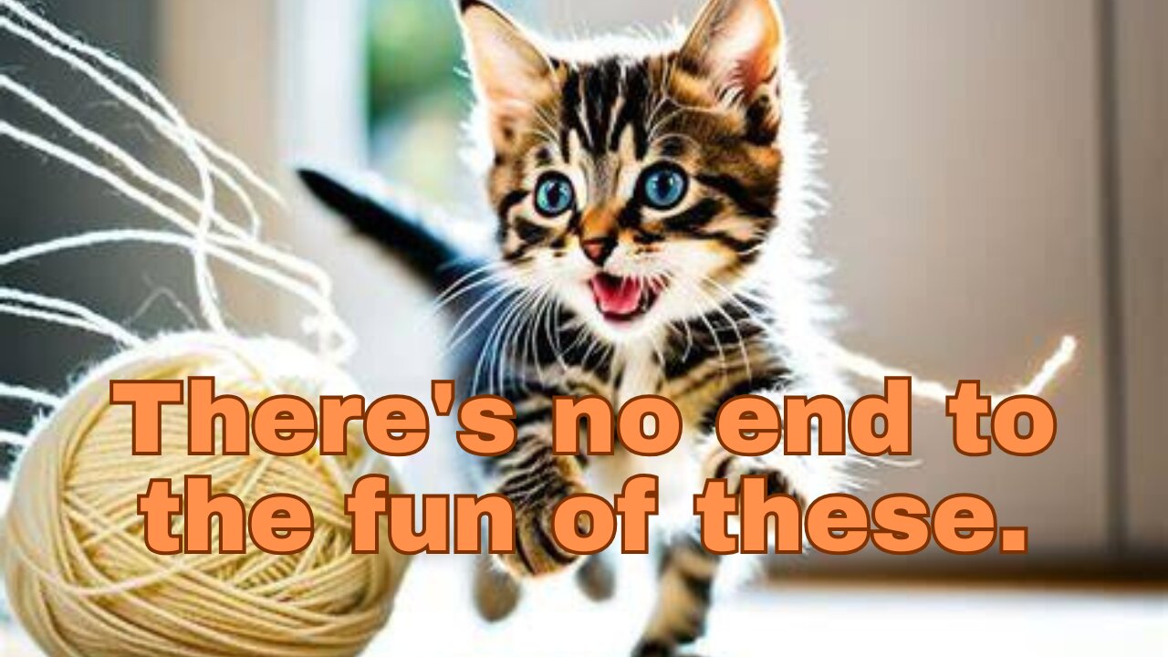 🤣 Try Not to Laugh – Cat Edition!