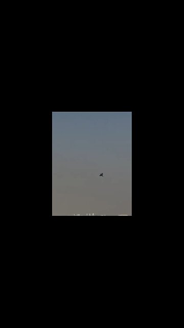 India's Superduper Samosa Jet Crashed at Dubai Airshow 😳