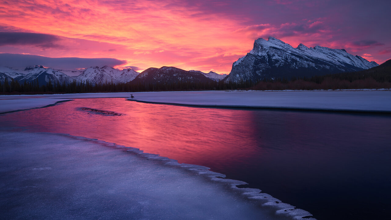 No artificial intelligence required.