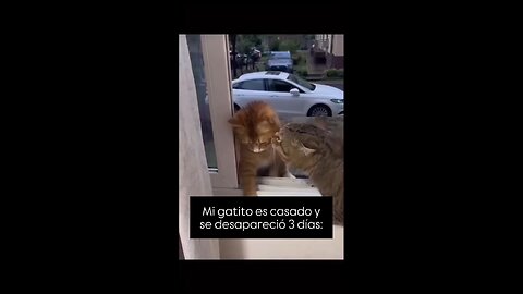 y la amante afuera jaja