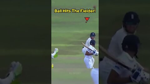 Best Cricket Moments!
