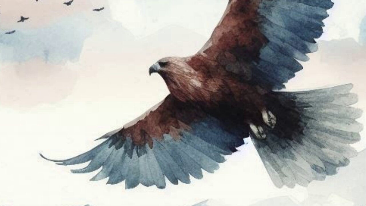 My Land (The St. Horatio Orchestra and Choir)