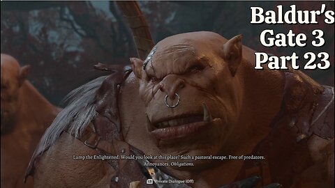 Baldur's Gate 3 Part 23