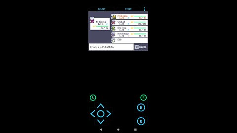 Pokémon Emerald Seaglass part 8| The weather institution