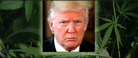 Just Say No, Mr. President, to Dope, Crime, and Violence