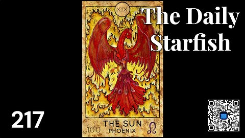 The Daily Starfish #217 #news #shorts #viral