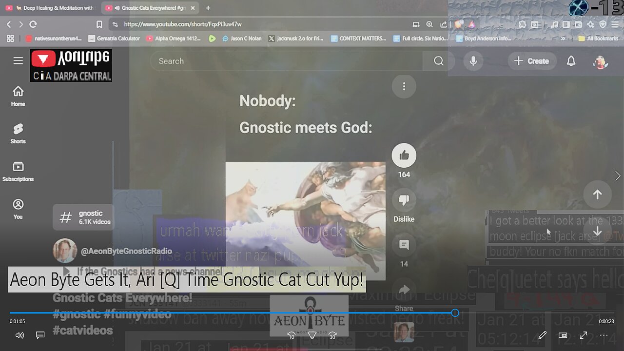Aeon Byte Gets It, Ari [Q] Time Gnostic Cat Cut Yup!