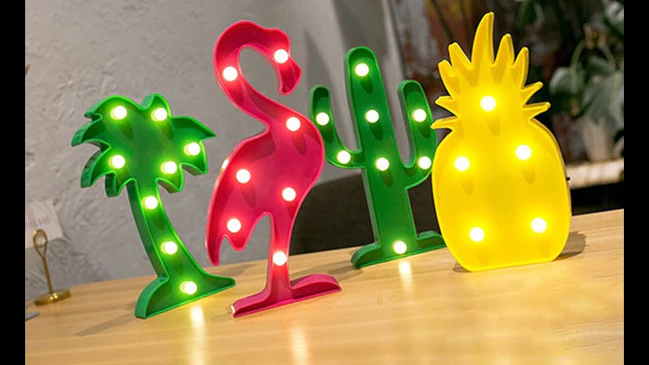Fun Side Shines