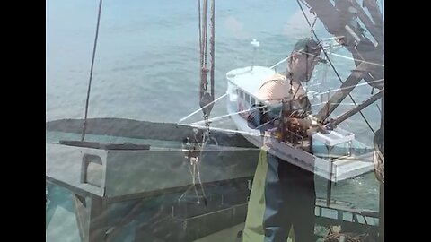 Episode 3 - Beneath the Bloom