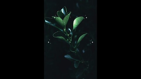 Hadees e nabvi (saw) #islam #viralvideos #islamicreminders #prophetmuhammadsaw #hadeesenabvi