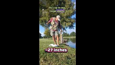 Watch what I caught using a handline #fishing #pondfishing #Catfish #handlinefishing