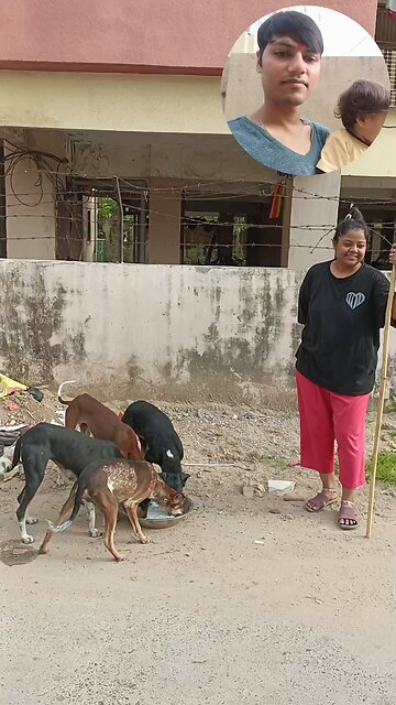 jivdaya mehsana 🥰