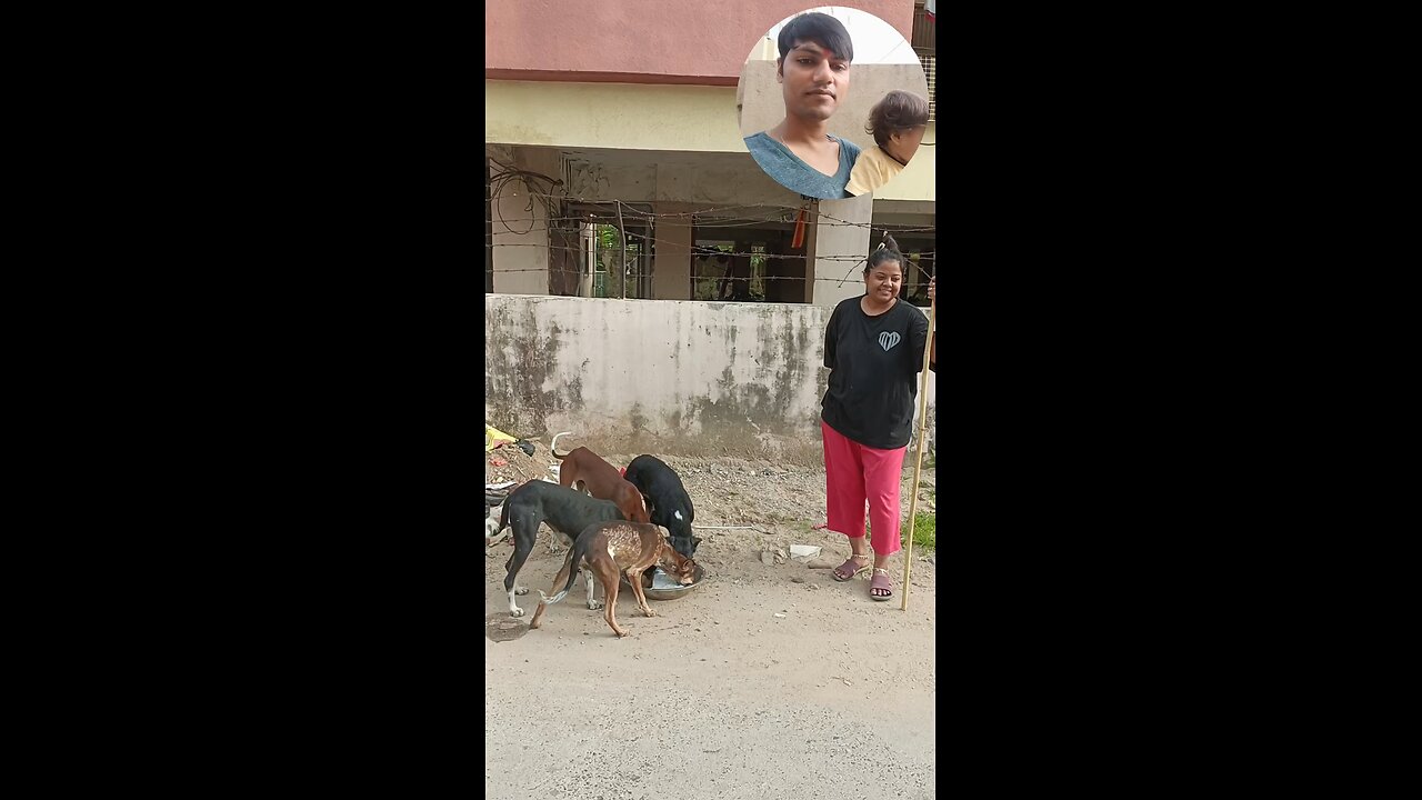 jivdaya mehsana 🥰