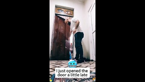 Funny videos