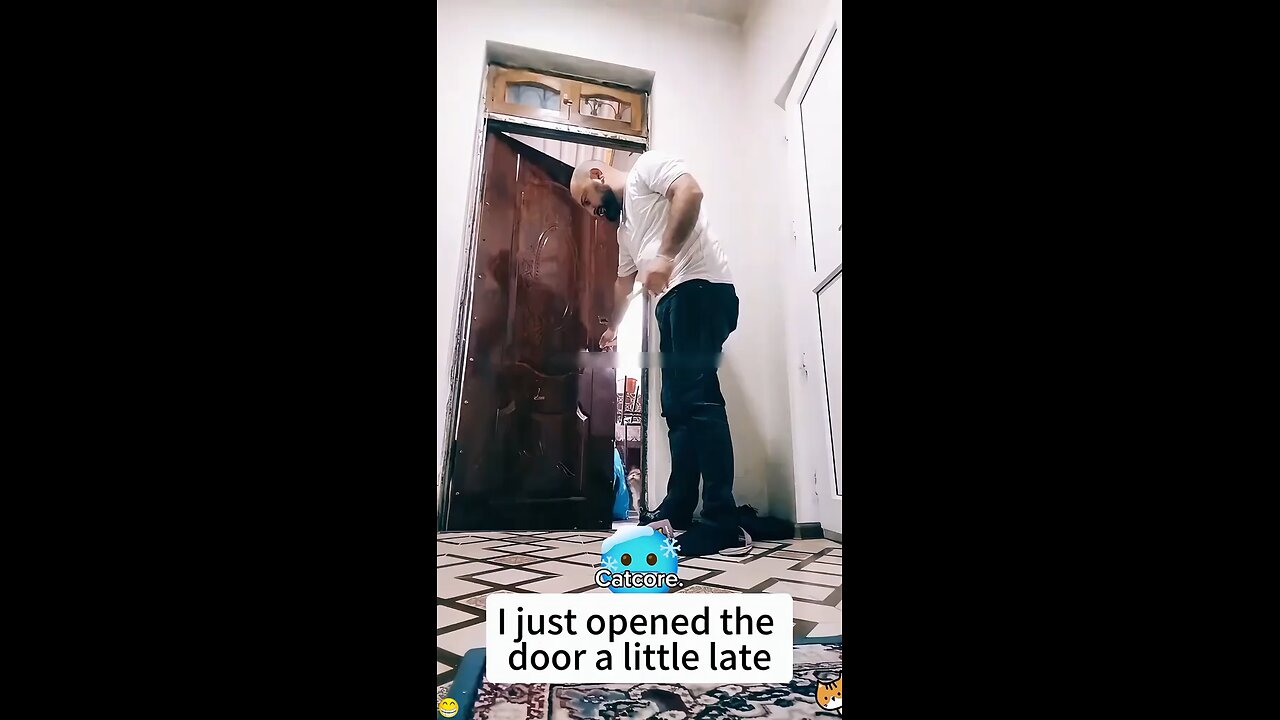 Funny videos