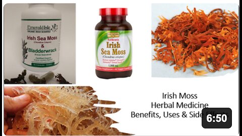 Irish Moss - Herbal Medicine - Benefits, Uses & Side Effects