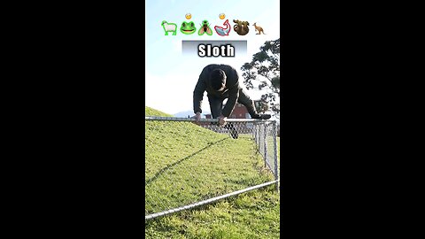 How Animals Get Over a Fence (Wi)