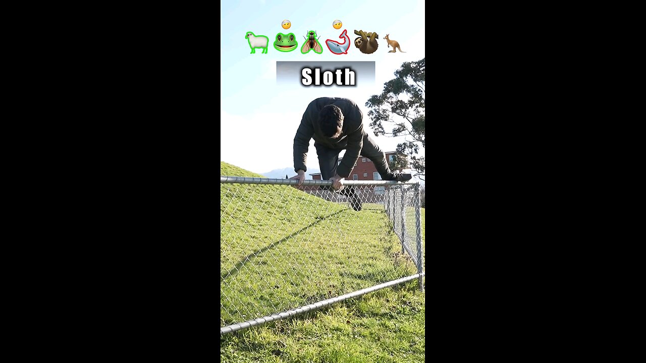 How Animals Get Over a Fence (Wi)