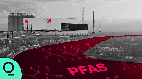 3M PFAS Everywhere & Forever Blood Water And Politics
