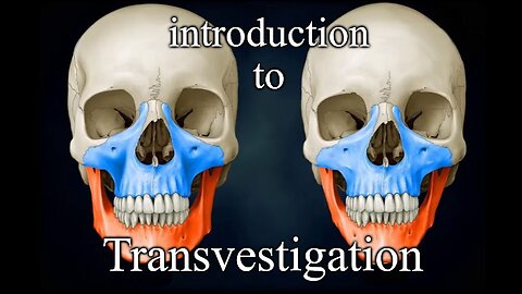 Introduction to Transvestigation