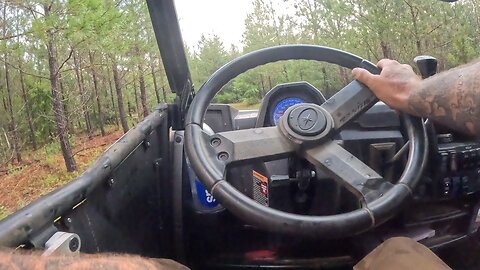 Toombsboro ga hog hunt