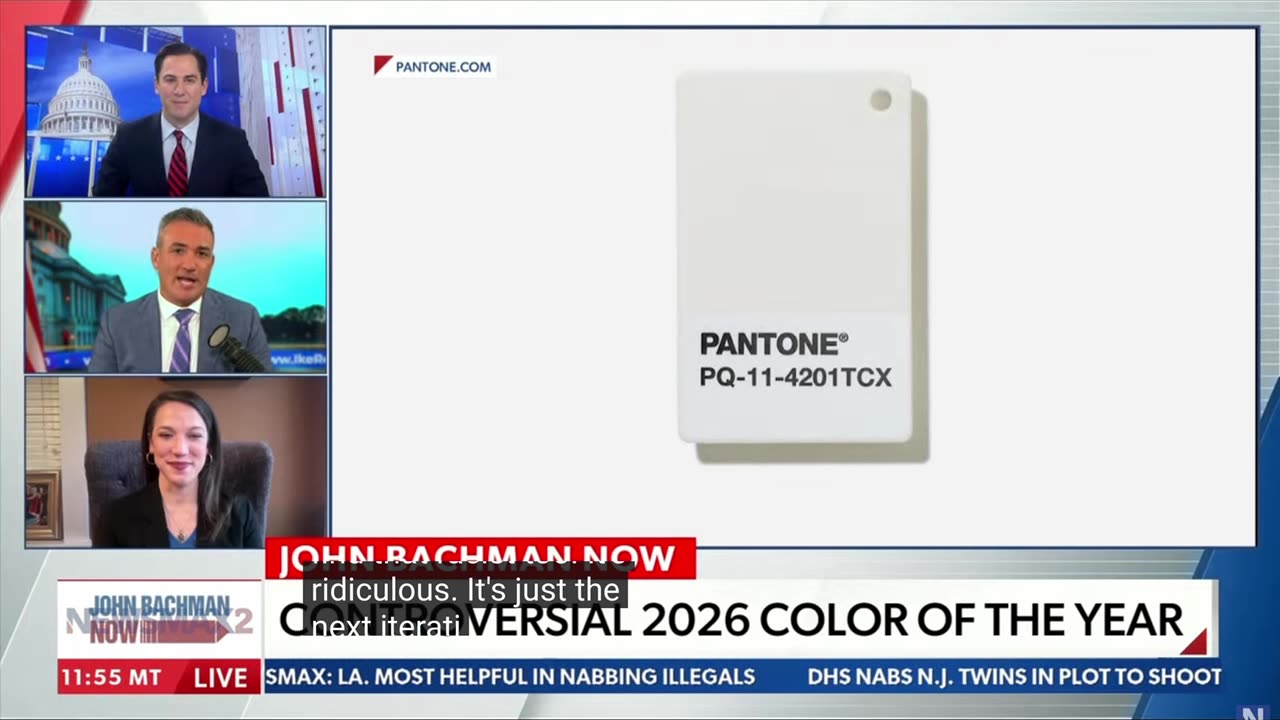 Liberals are raging at Pantone for making a shade of white the color of the year, calling it RACIST