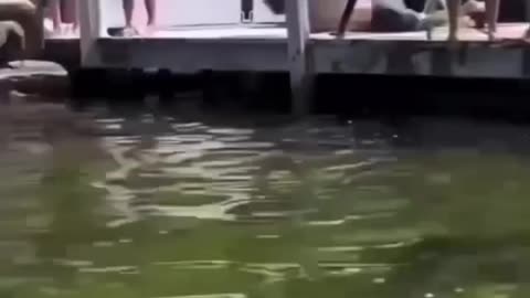 The End! Funniest Fail of the Day #Shorts