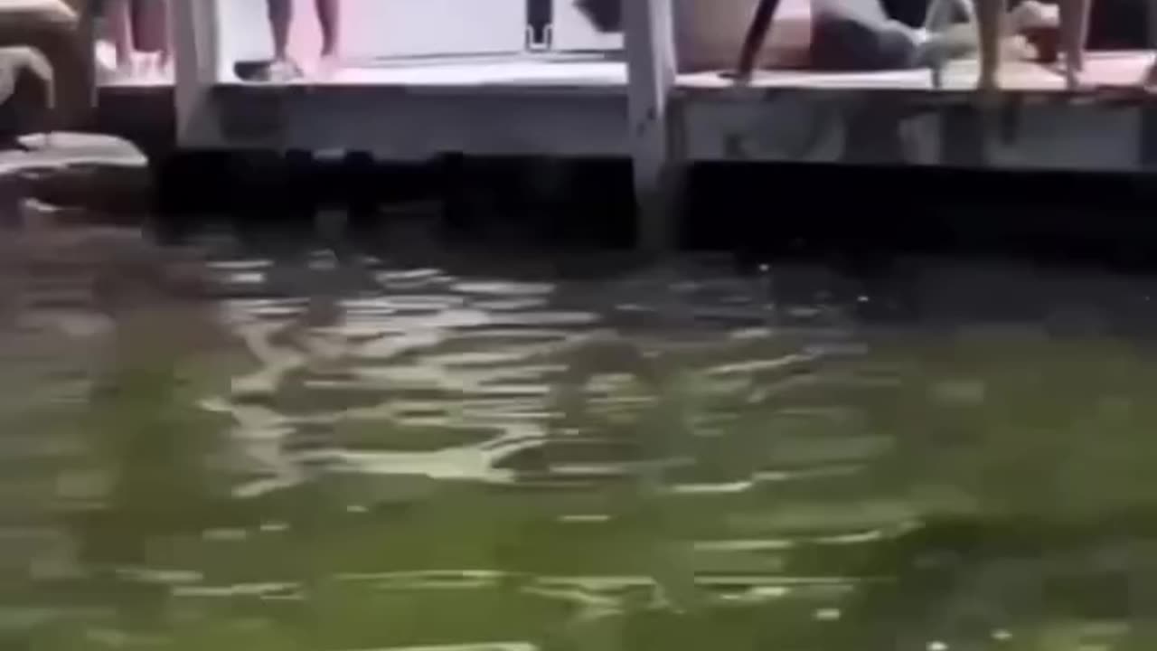 The End! Funniest Fail of the Day #Shorts