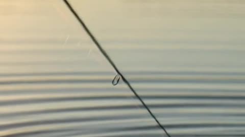 “The Biggest Fish Ever Caught! 😱 The Fisherman’s Epic Battle with Nature 🎣🔥 1